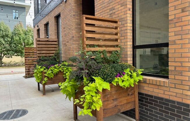 1 bed, 1 bath, 515 sqft, $1,399, Unit S 203