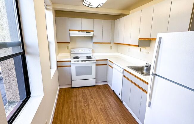 Studio, 1 bath, 460 sqft, $1,395, Unit 413