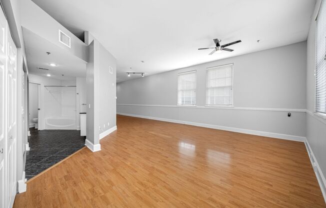 Studio, 1 bath, 1,000 sqft, $1,900, Unit 308