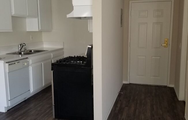 Studio, 1 bath, 475 sqft, $1,645, Unit 206