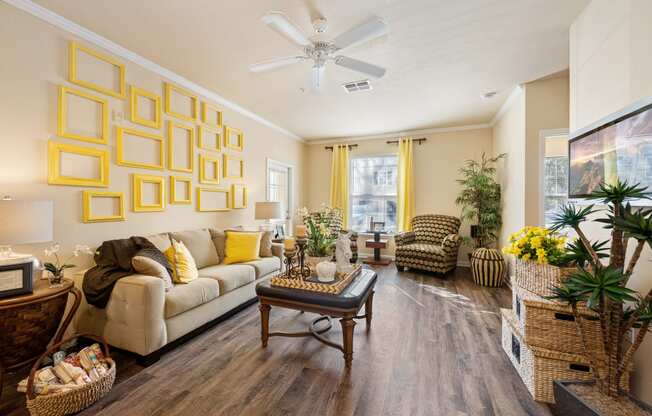 Living room with furniture