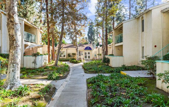 Studio, 1 bath, 475 sqft, $1,895, Unit F109