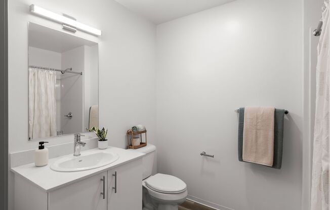 1 bed, 1 bath, 435 sqft, $1,350