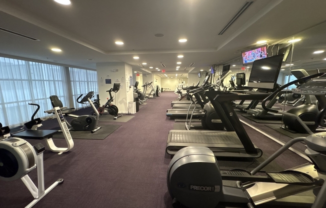 1 bed, 1 bath, 505 sqft, $2,700, Unit 1501