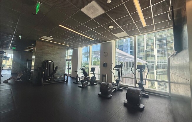 1 bed, 1 bath, 828 sqft, $3,100, Unit 2102
