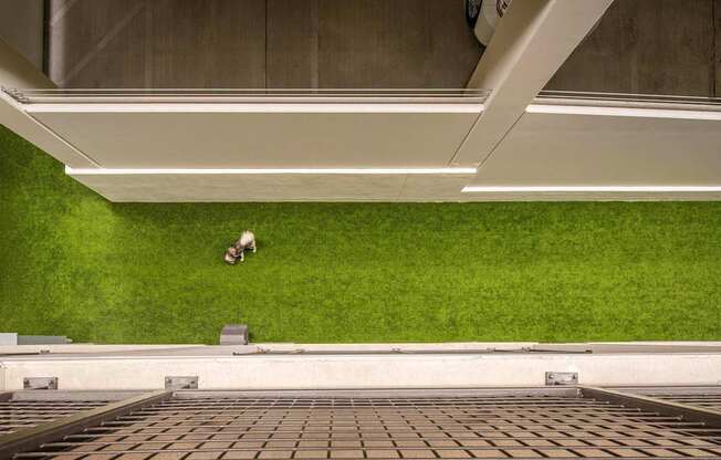 A person is sitting on the grass under a bridge.