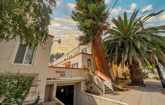 2867 MacArthur Blvd