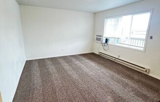 1 bed, 1 bath, $975, Unit 601 S. Division #09