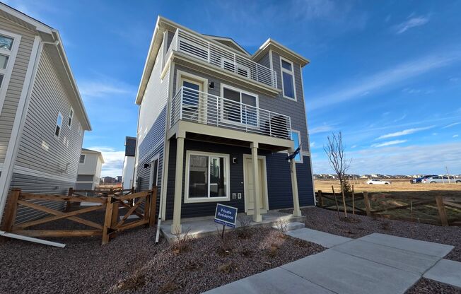 Stunning New Home Build in Beautiful Banning Lewis Ranch!!!