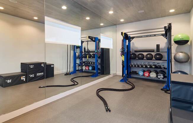 A gym with a variety of equipment including a squat rack, a bench, and a rowing machine.