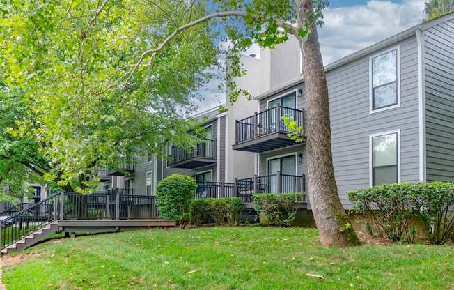A tree is in front of a grey building.