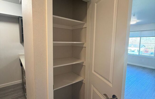 Studio, 1 bath, 501 sqft, $1,585, Unit 313