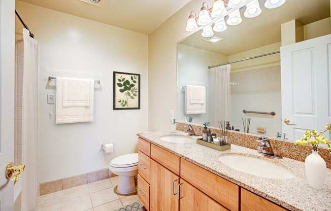 a bathroom with two sinks and a toilet and a mirror