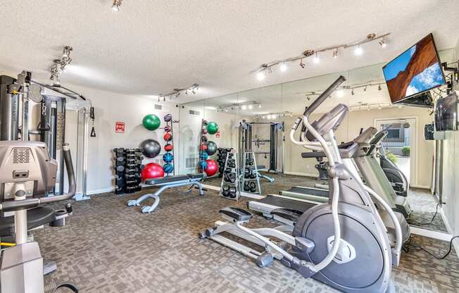 the gym at the enclave at woodbridge apartments in sugar land, tx