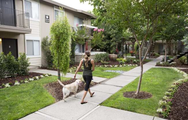 a woman walking her dog on a sidewalk
