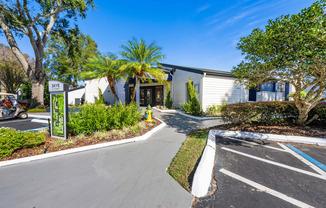 a white building with palm trees and a sidewalk in front of it
