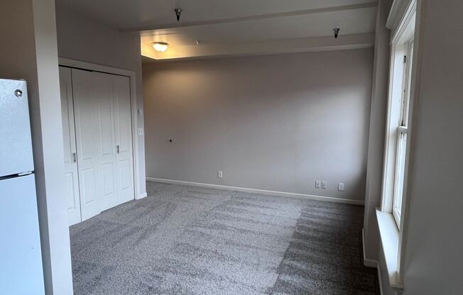 Studio, 1 bath, 322 sqft, $995, Unit 205