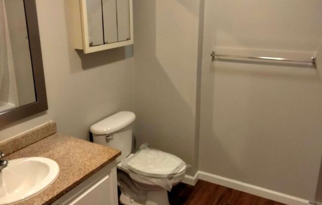 1 bed, 1 bath, 549 sqft, $1,325, Unit 511