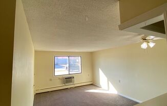 1 bed, 1 bath, 477 sqft, $640, Unit 113