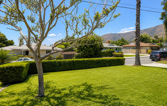 Beautiful 4 bedroom 2.5 bath house