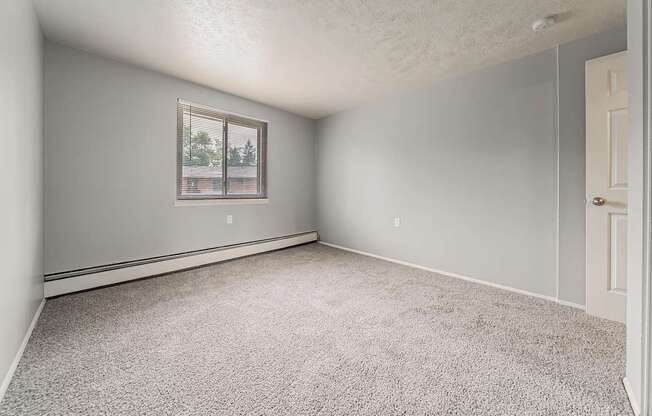 A room with a carpeted floor and a window.