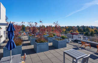 Rooftop Deck