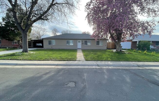Charming Updated Home with Spacious Yard