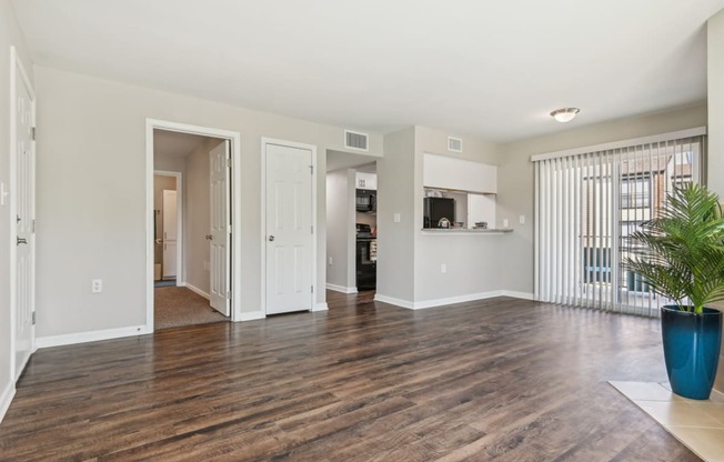 an empty living room with a potted plant in the corner