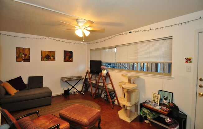 Wonderful 1 bedroom condo located at a walking distance to UT and Pease Park!