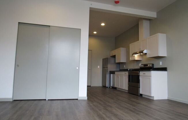 Studio, 1 bath, 477 sqft, $1,300, Unit 209