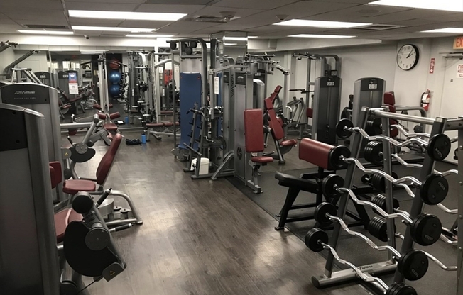1 bed, 1 bath, 870 sqft, $2,995, Unit 203