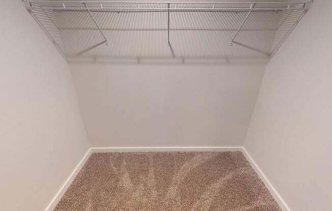 A room with a carpeted floor and a ceiling fan.