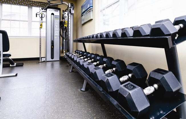 free weights on the racks at Heatherwood House at Patchogue, Patchogue, NY