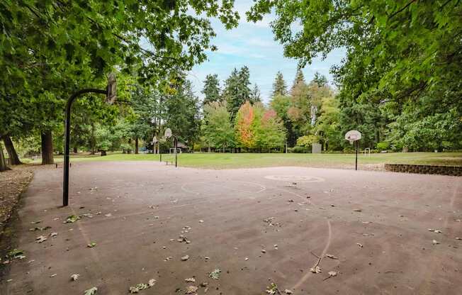 A basketball court surrounded by trees in a park.