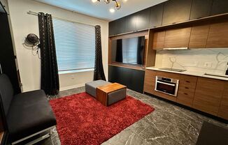 Studio, 1 bath, $1,495, Unit UNIT 205