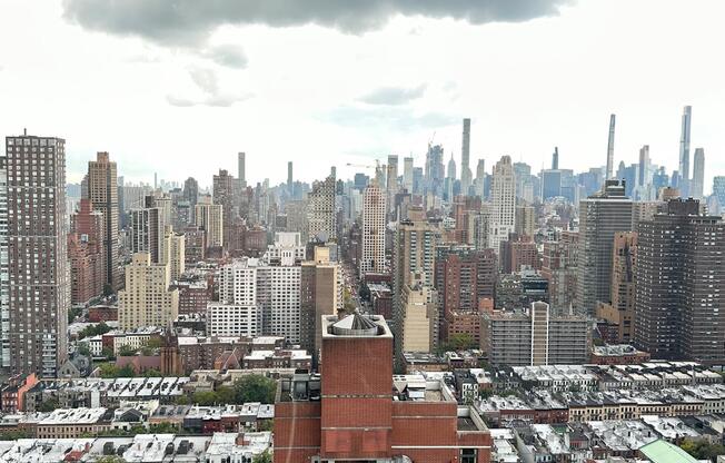 Studio, 1 bath, 444 sqft, $3,800, Unit 23C