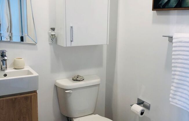 Studio, 1 bath, 489 sqft, $6,000, Unit A105