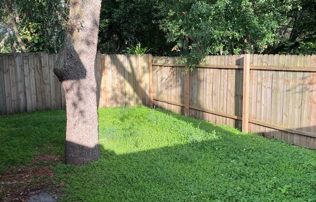 Newly Remodeled 3-Bedroom, 2-bathroom with garage for rent Near Busch Gardens & USF!