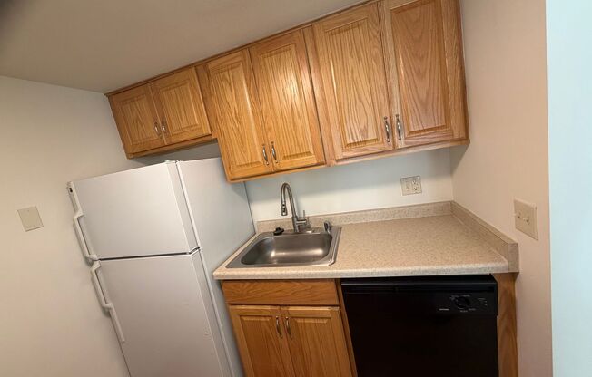 1 bed, 1 bath, 750 sqft, $1,095, Unit 203E