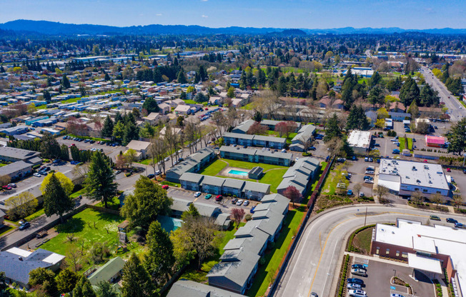 arial view of a neighborhood with houses and trees