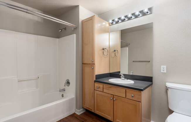 a bathroom with a sink and a toilet and a bath tub