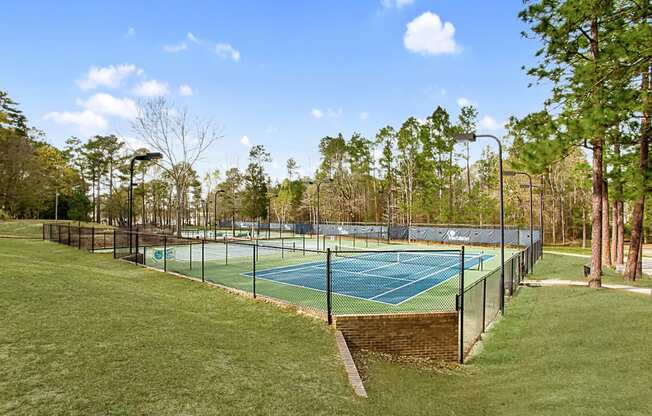 tennis courts lory harbison