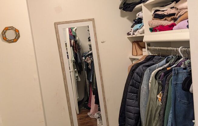 Studio, 1 bath, 431 sqft, $2,500, Unit 403