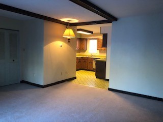 1 bed, 1 bath, 600 sqft, $995