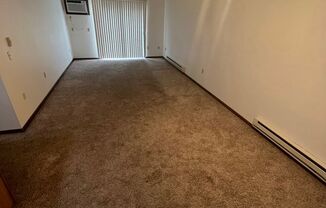 1 bed, 1 bath, 756 sqft, $1,150, Unit APT 29