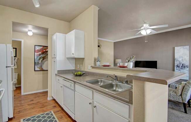 Welcome to Mozaic at Steele Park Apartment Homes