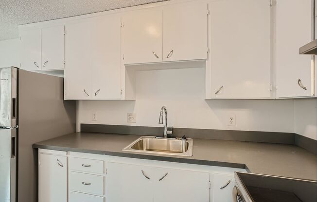 Renovated, Centrally Located 1 Bedroom in White Center!