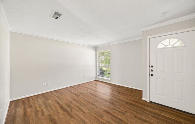 Huge yard with plenty room for everyone