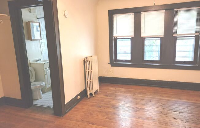 Studio, 1 bath, $775, Unit 109
