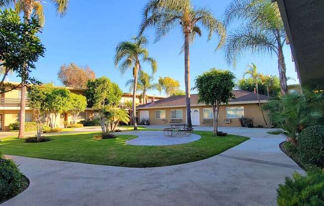 a courtyard with a picnic table and palm trees